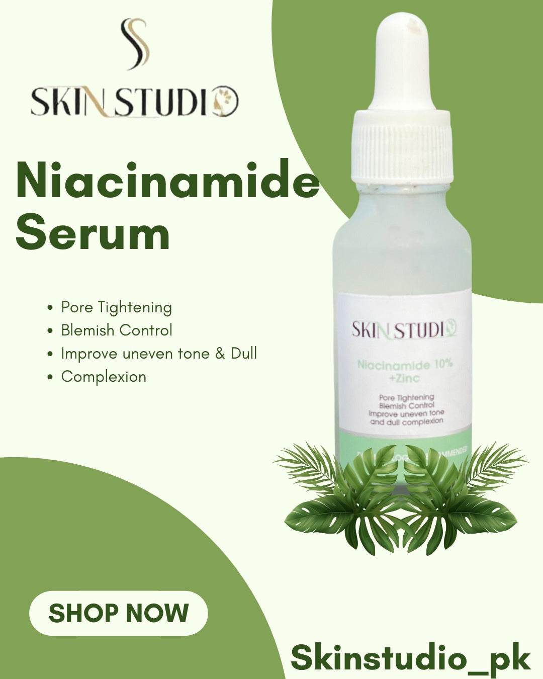 Niacinamide 10%+ Zinc Serum